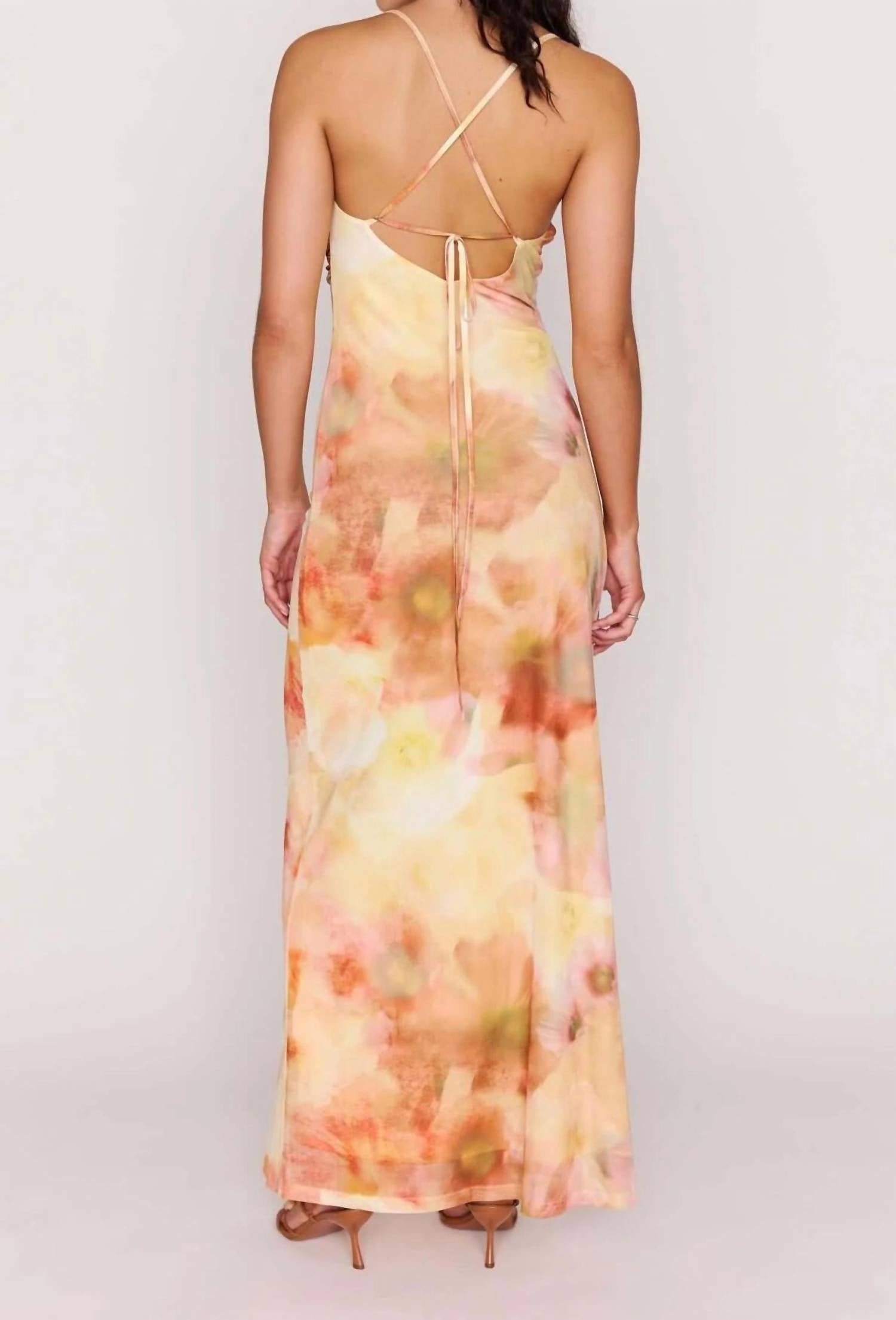 Minkpink - Aria Mesh Maxi Dress