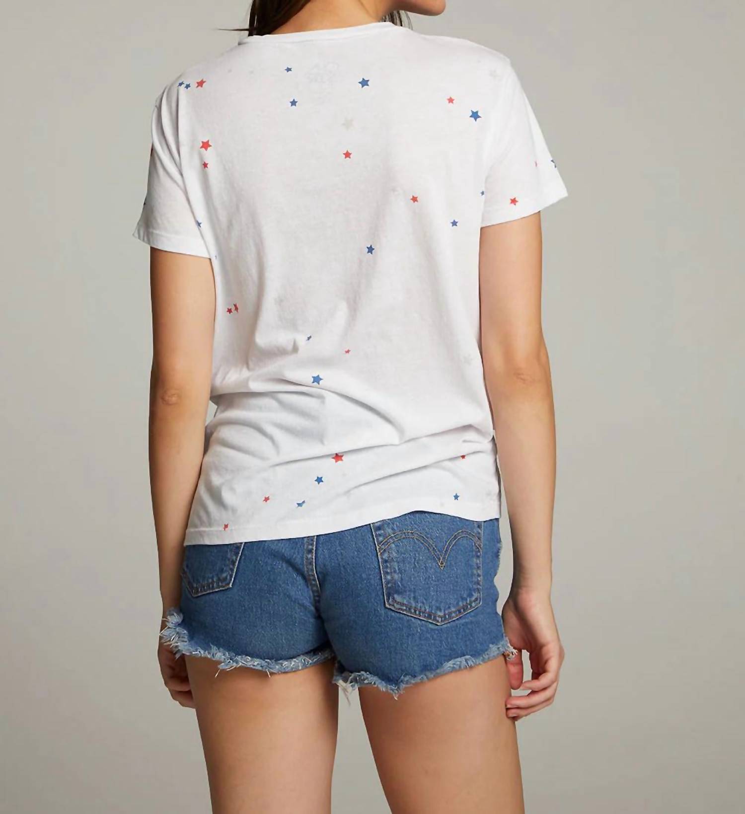 Chaser - Americana Stars Crew Neck Tee