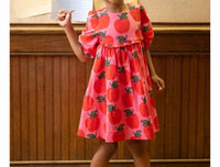 Pink Chicken - Girl's Rowan Dress