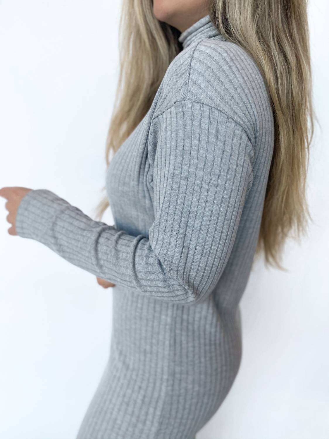 Enza Costa - Sweater Rib Turtleneck Dress