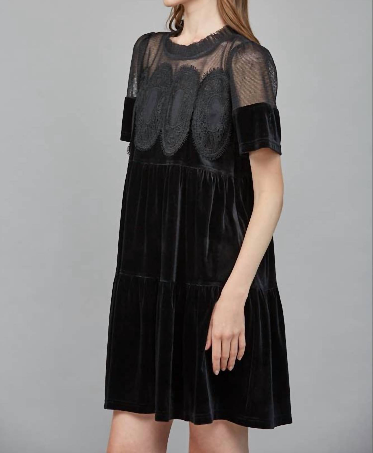 Fate - Contrast Sheer Mesh Intricate Lace Detail Mini Dress