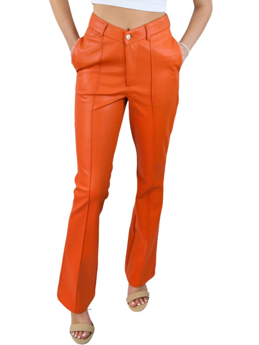 Amylynn - Colorful Option Faux Leather Pants
