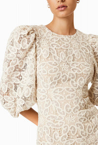Elliatt - Women's Cliffeside Dress