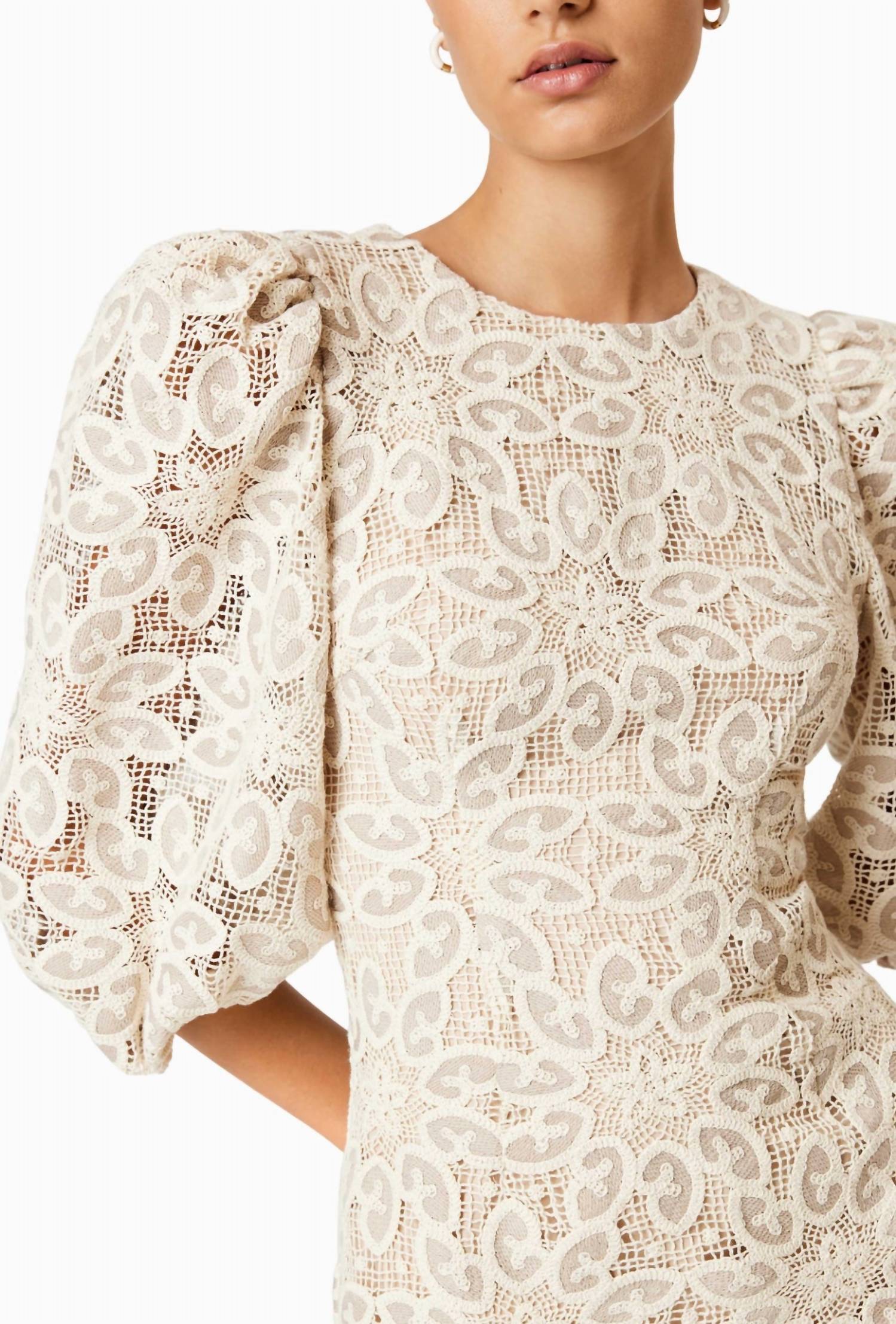 Elliatt - Women's Cliffeside Dress