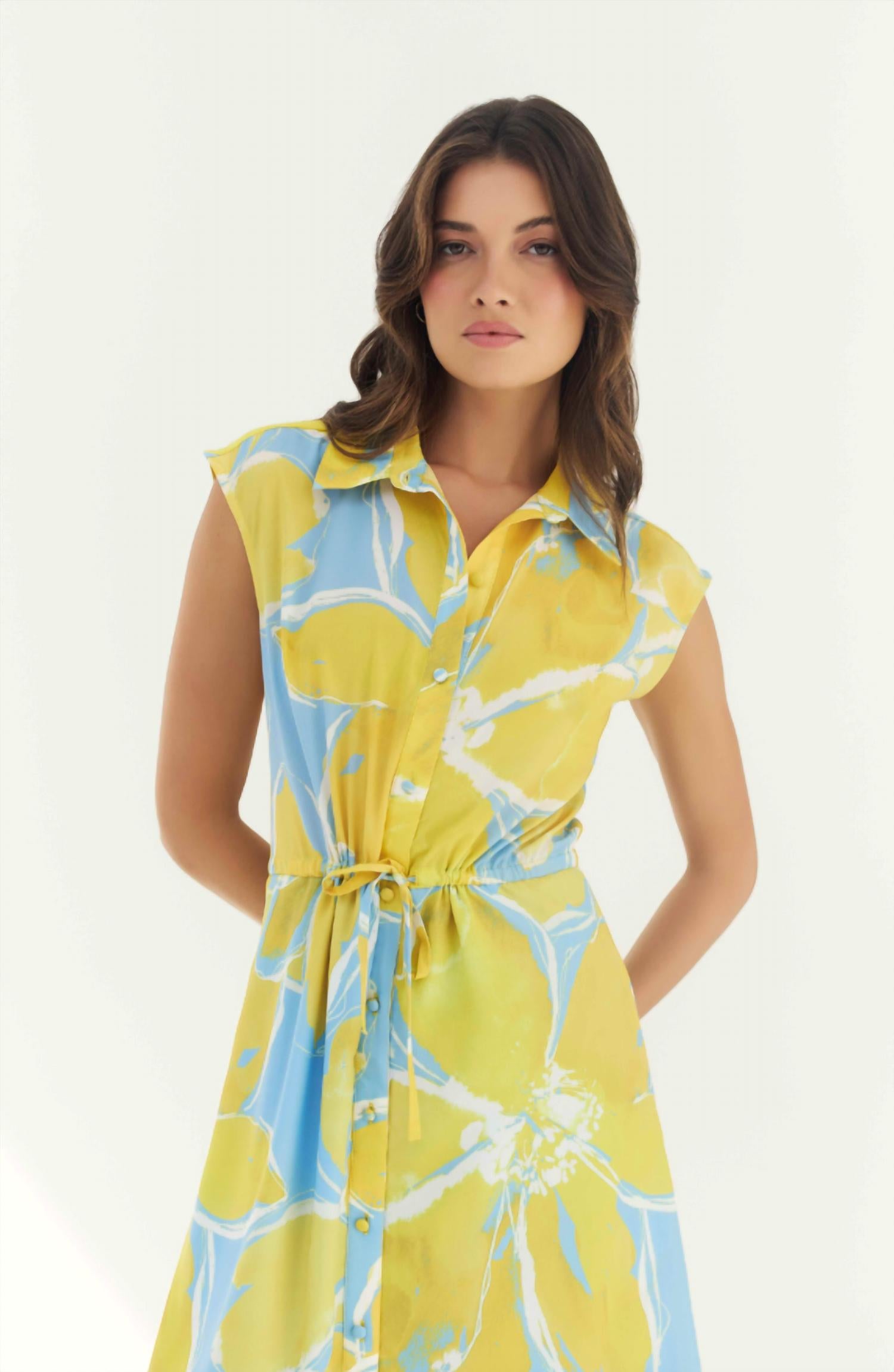 Hutch - Layton Dress