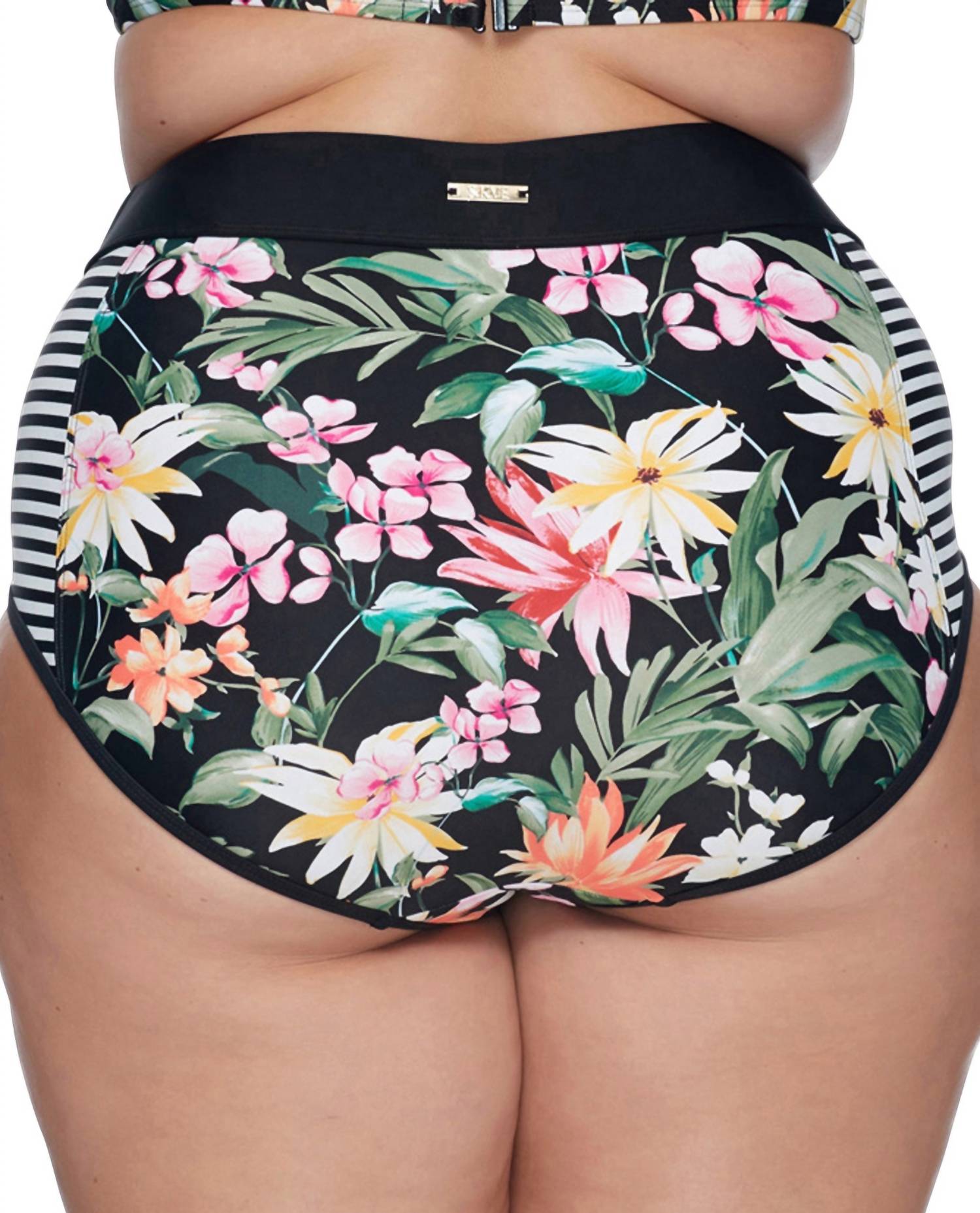 Skye - Waverly High Waist Bikini Bottom - PLUS