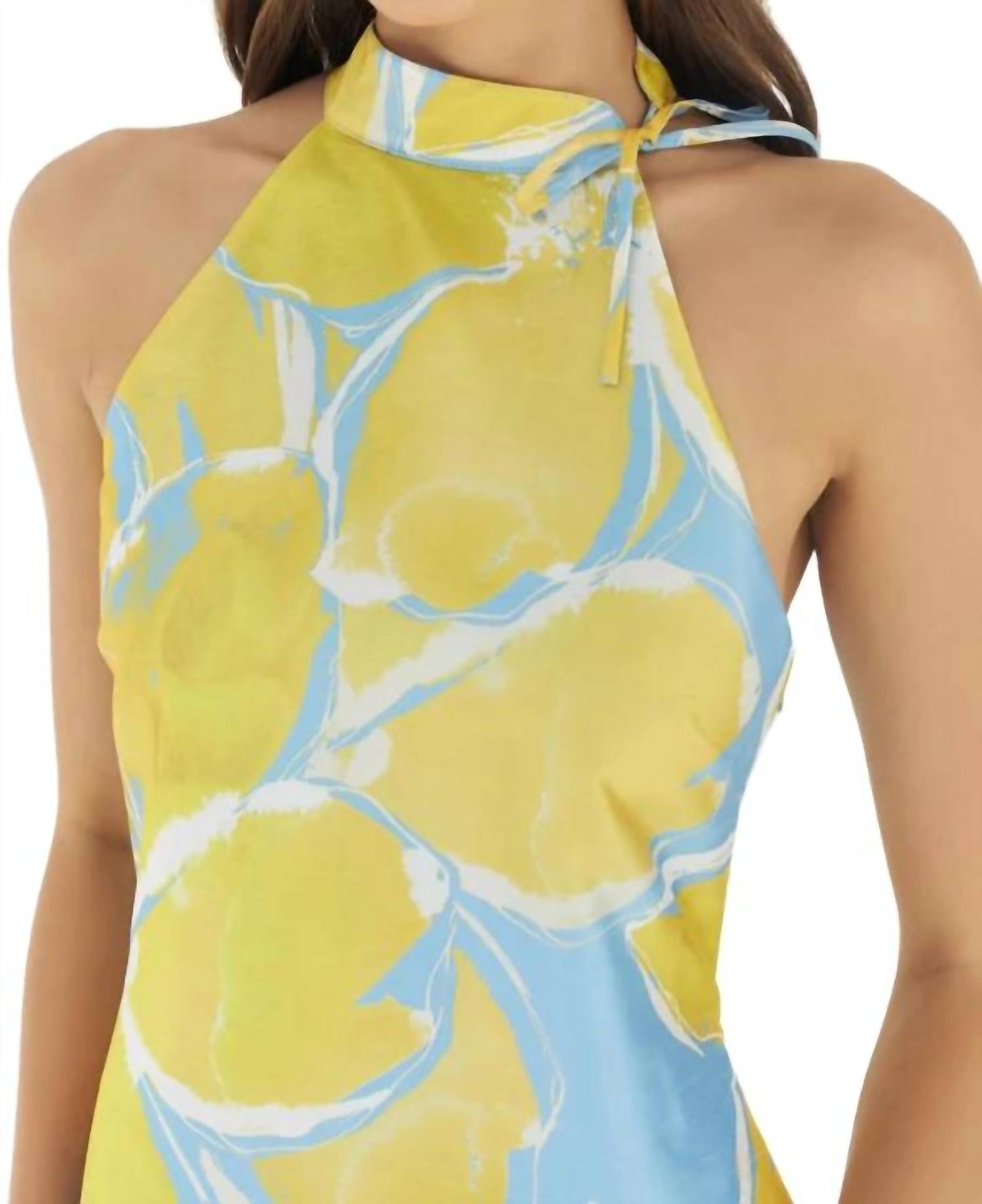 Hutch - Sleeveless A-line Shift Dress