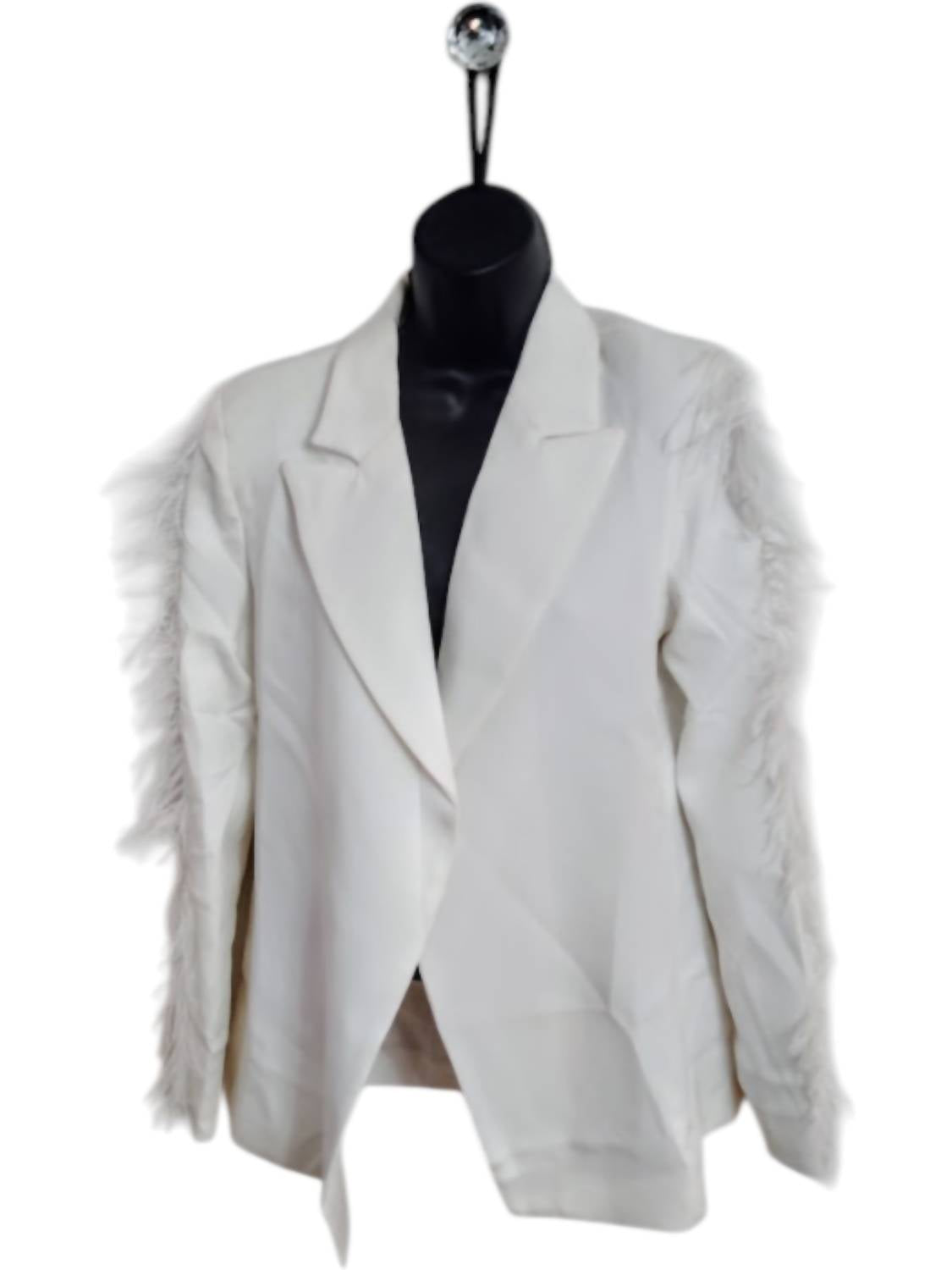 Why Dress - Women's Feather Sleeve Jacket