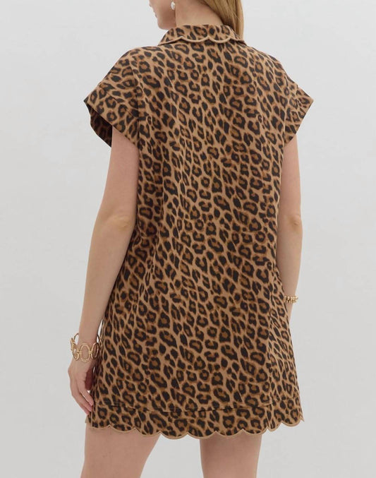 Entro - Scalloped & Spotted Mini Dress