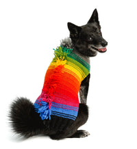 Chilly Dogs - Rainbow Mohawk Dog Sweater