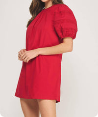 Strut & Bolt - Reverse Pintuck Puff Sleeve Mini Dress