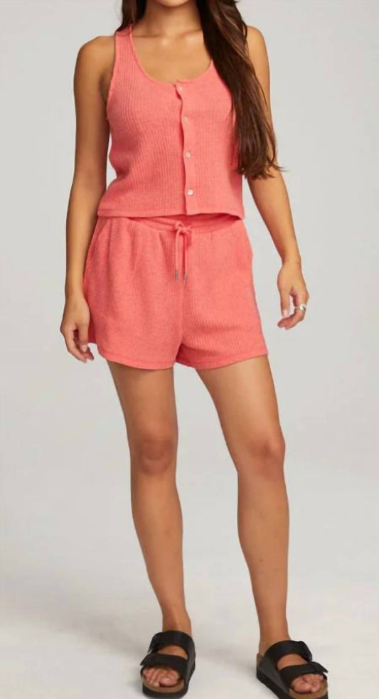 Chaser - ALPINE TANK