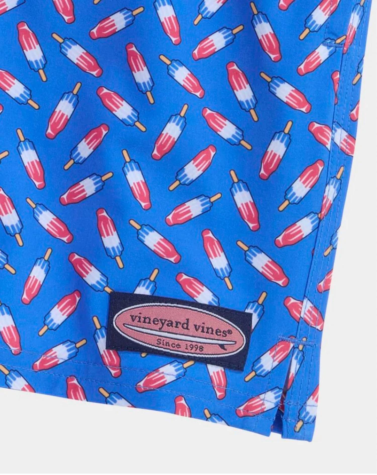 Vineyard Vines - Boys Chappy Pull-on Trunks