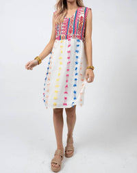 Ivy Jane - Sleeveless Embroidered Dress