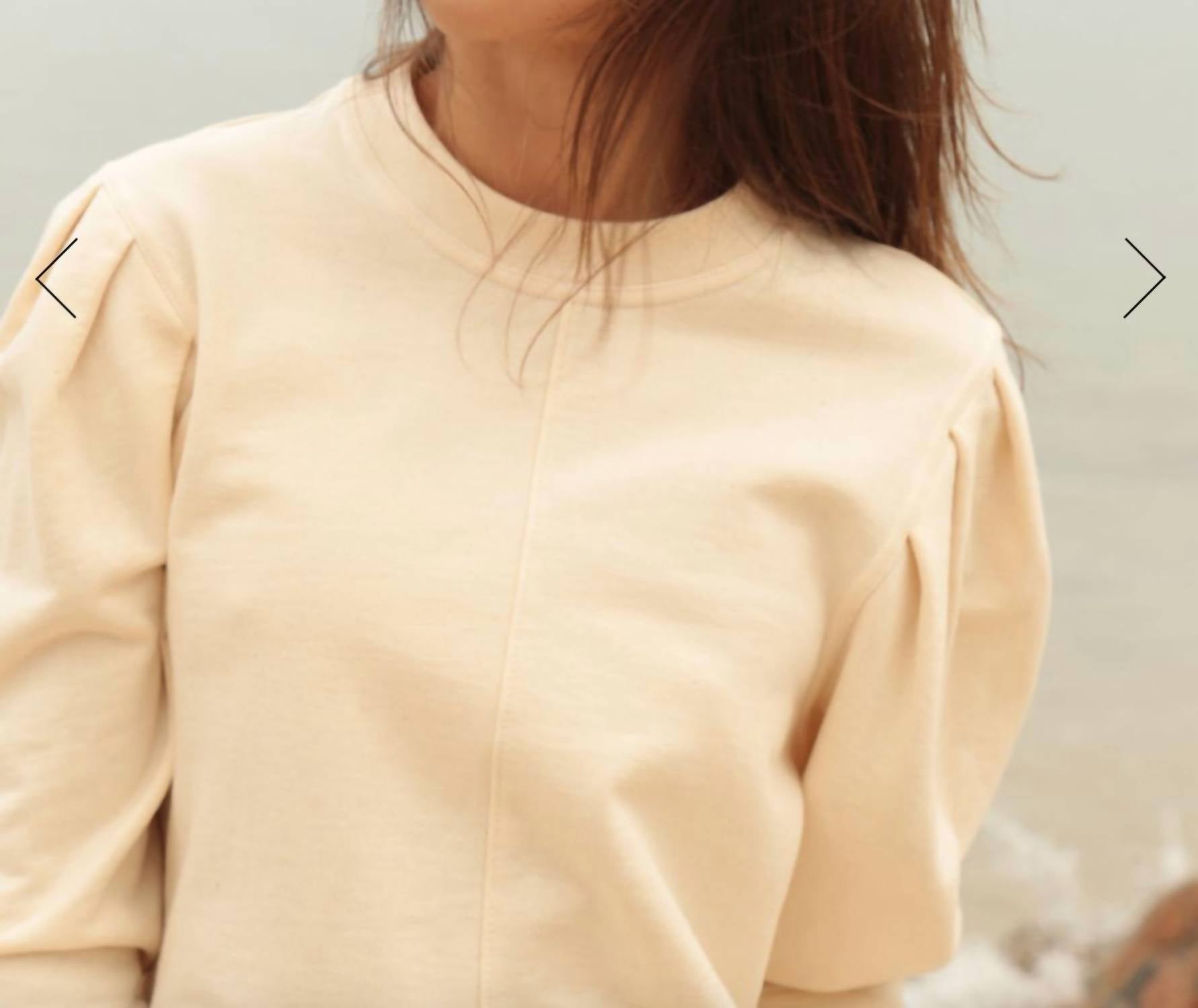The Waight - Pleat Sleeve Crewneck Top