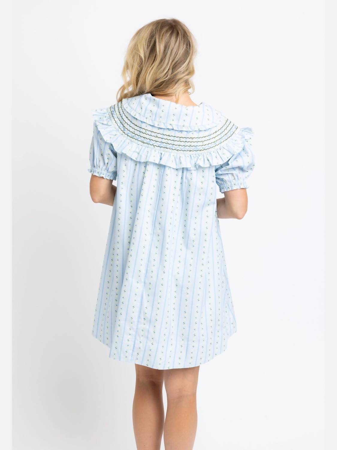 Karlie Floral Stripe Peter Pan Stitch Dress in blue - women's dress - detail view