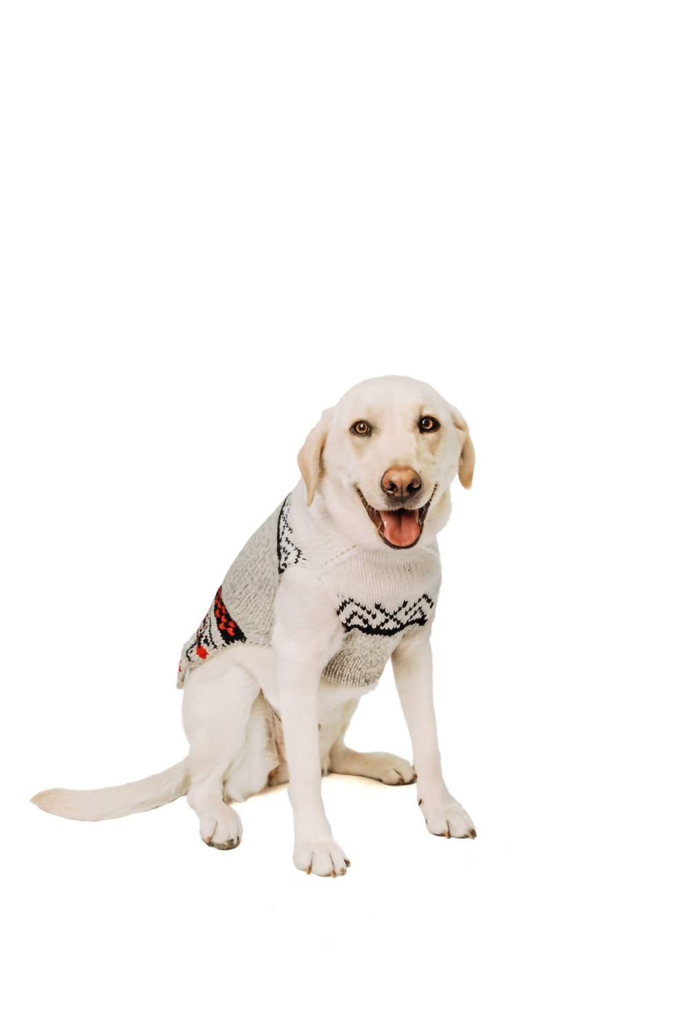 Chilly Dogs - Bunny Patrol Dog Sweater