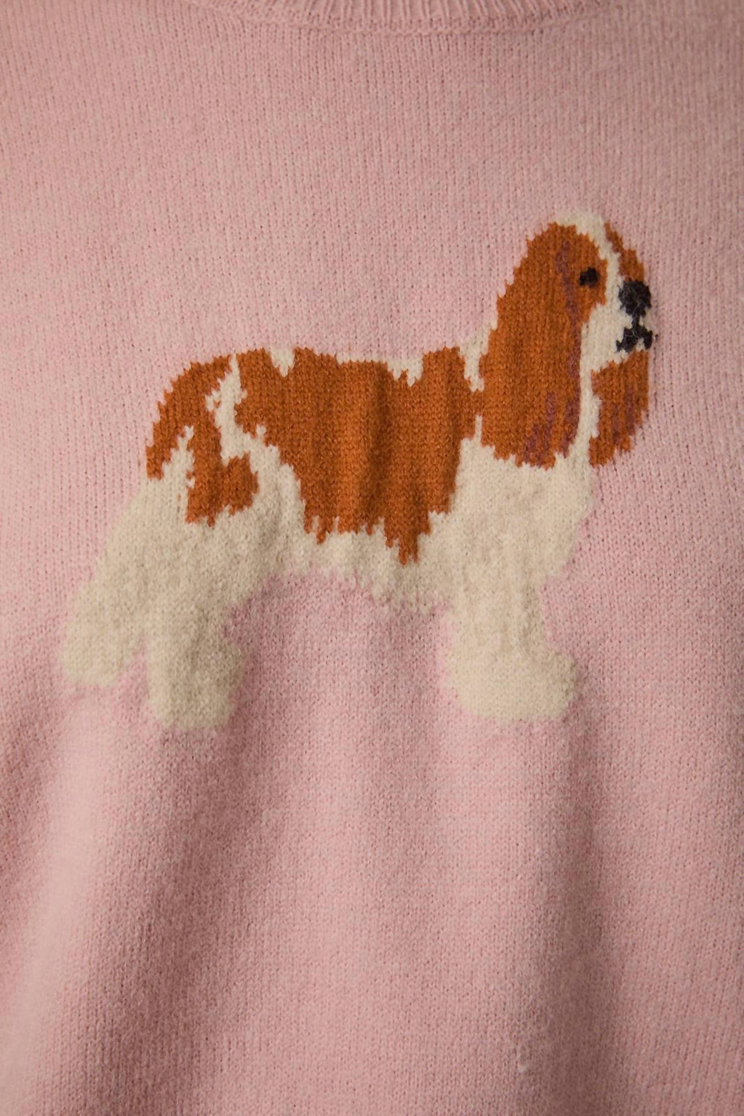 Le Lis - King Charles Spaniel Graphic Sweater