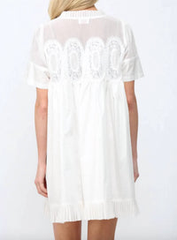 Fate - Mesh Mini Dress