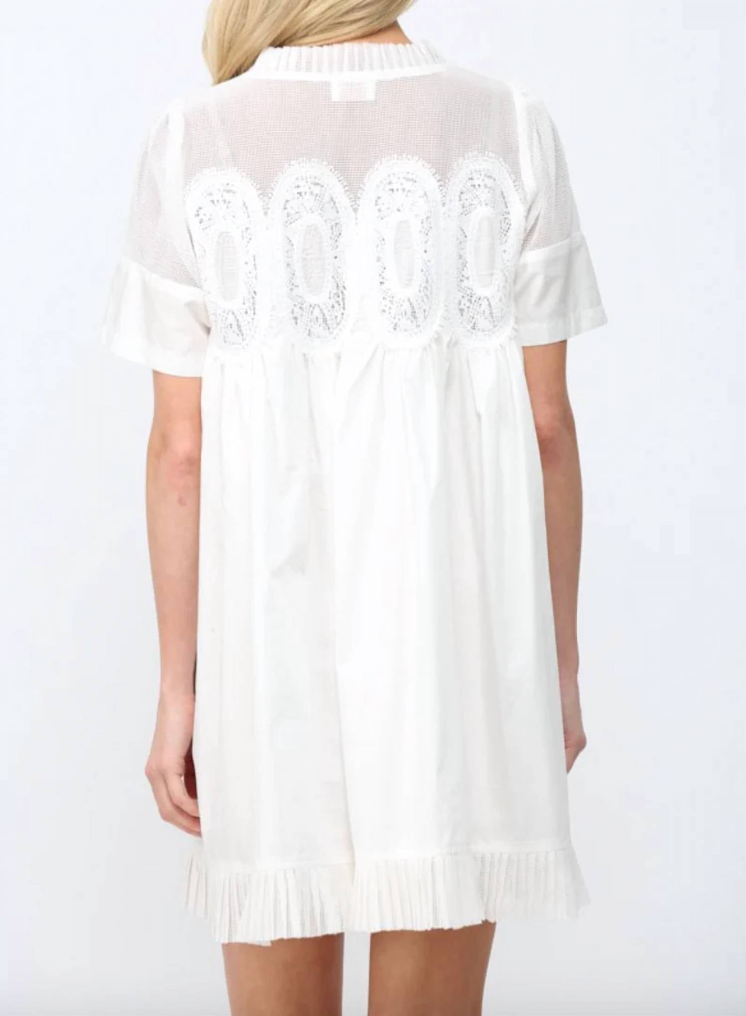 Fate - Mesh Mini Dress