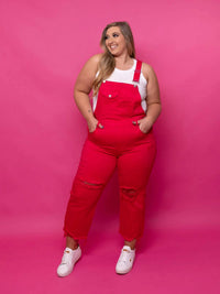 Risen - High Rise Distressed Denim Overalls