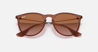 Ray Ban - Erika Classic Non Polarized Sunglasses Rb4171 659013