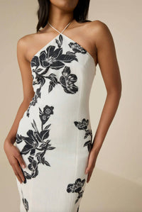 Hemant & Nandita - Aahi Highlight Midi Dress