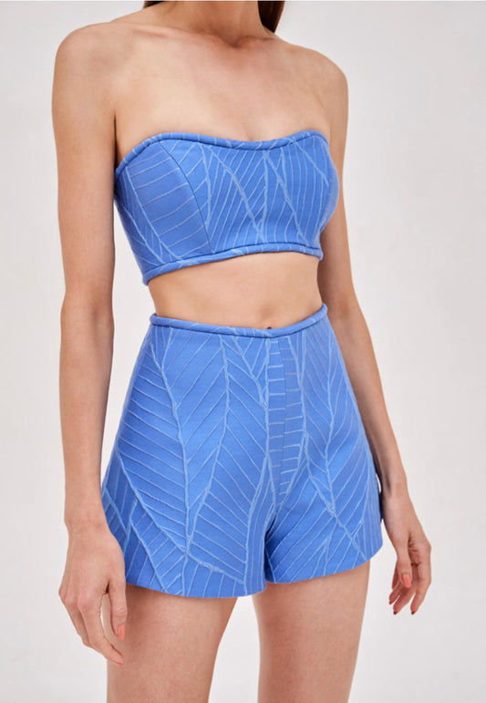 Alexis - Alini Strapless Top