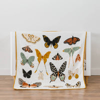 Clementine Kids - Baby's Butterfly Collector Quilt