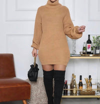 Hera Collection - Turtleneck Dress