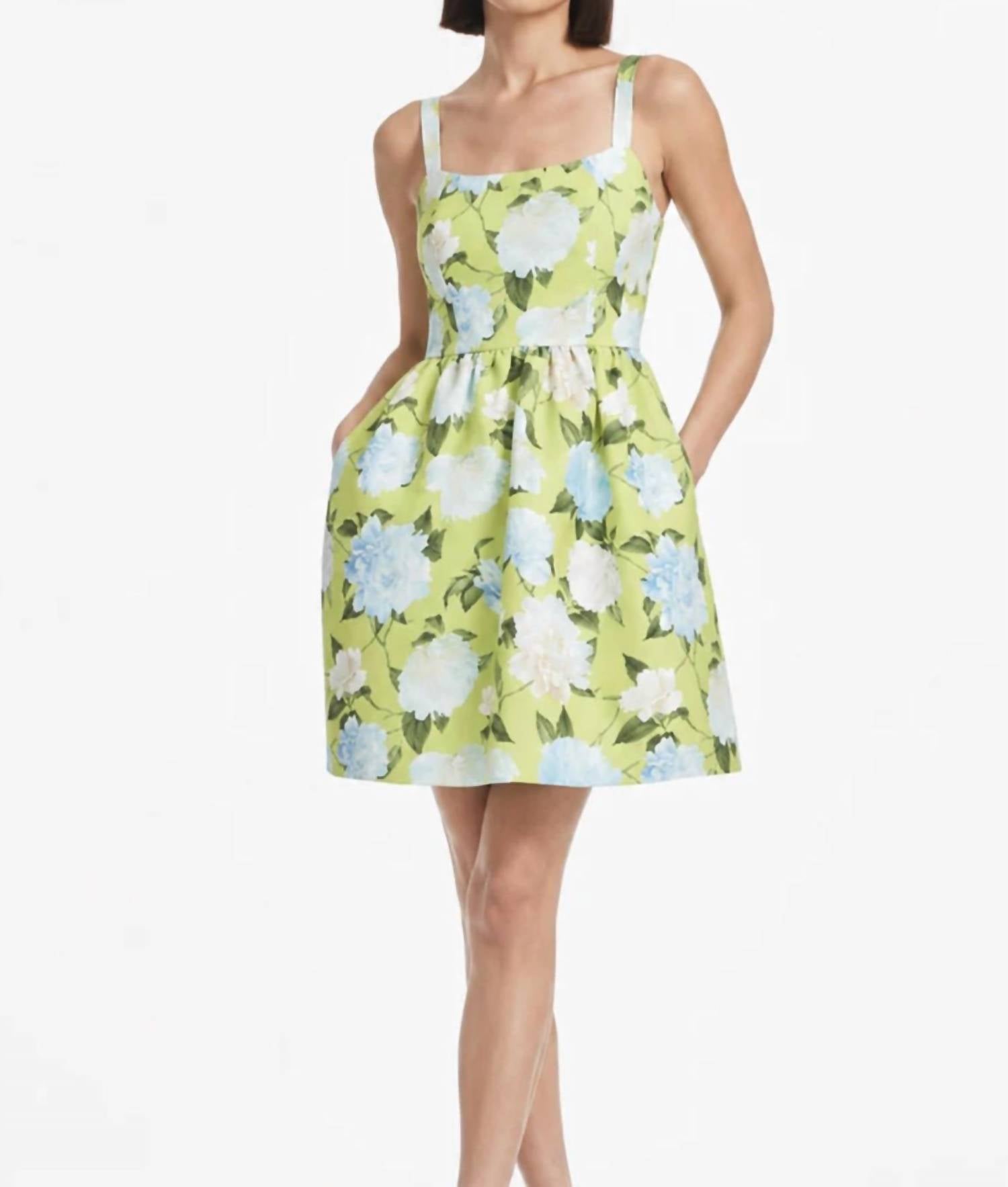 Sachin & Babi - Samira Floral Fit And Flare Dress
