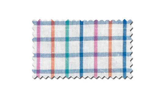 Southern Casanova - Beach Ball Check Button Down