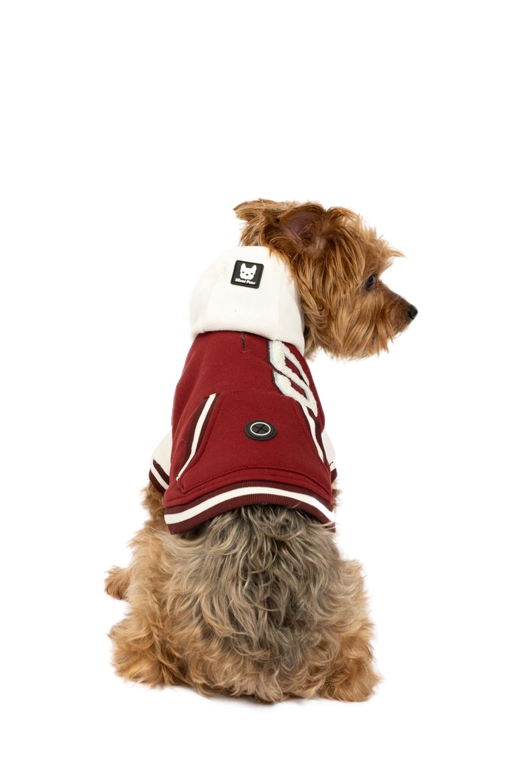 Silver Paw Otis Hoodie Style Varsity Jacket With Snap Closure in burgundy - item - detail view