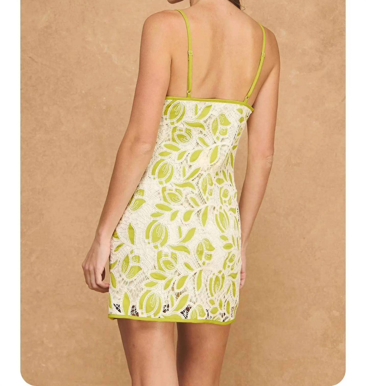 Strut & Bolt - Contrast Floral Lace Crochet Mini Dress