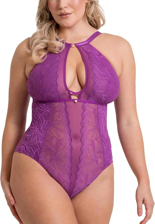 Scantilly - Opulence Stretch Lace Bodysuit