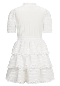 Marlo - Betty Embroidered Mini Dress