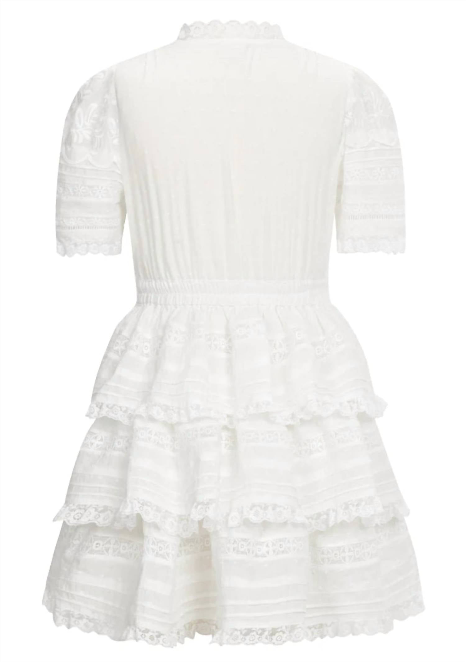 Marlo - Betty Embroidered Mini Dress