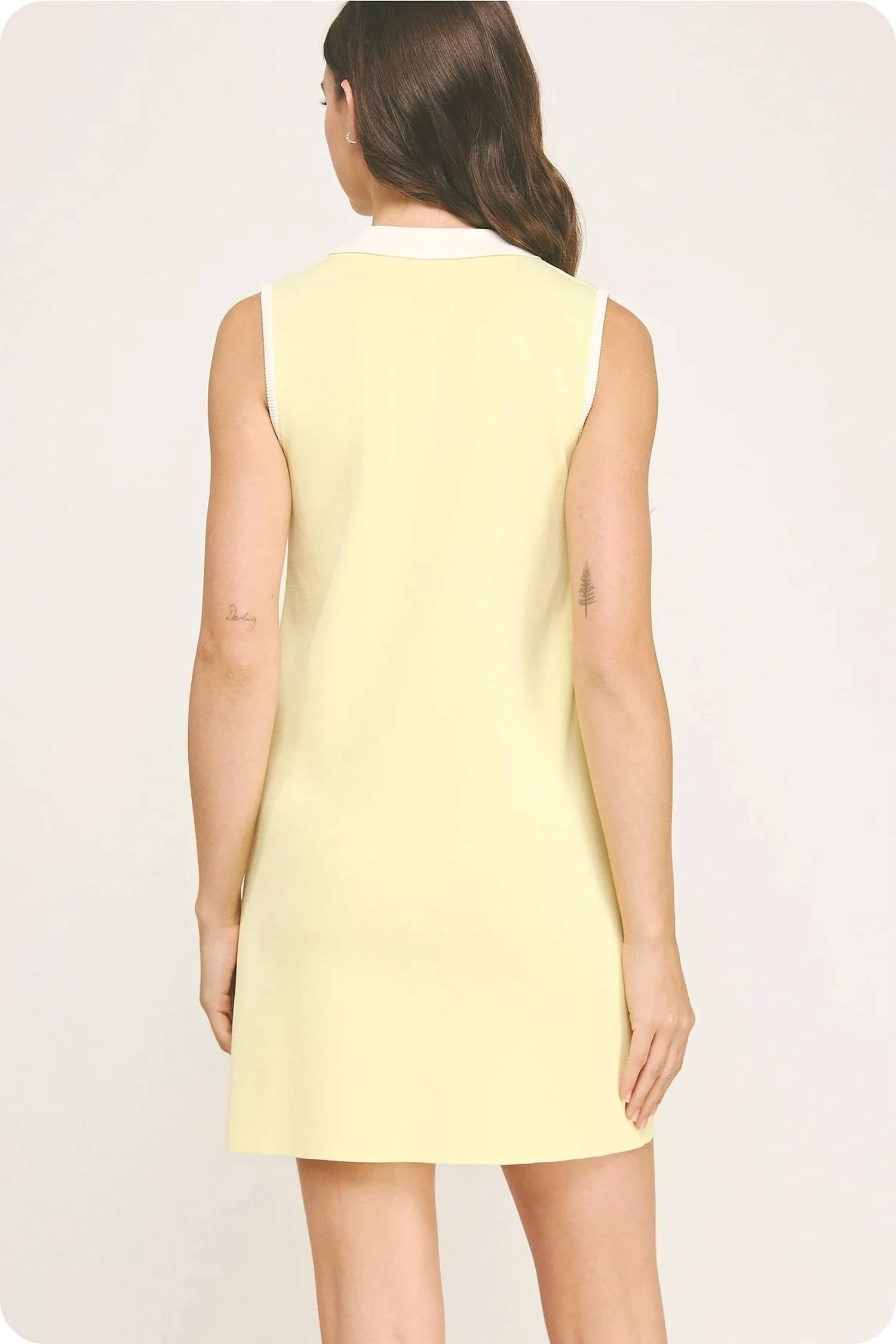 Strut & Bolt - Women's Collared Color Block Polo Dress
