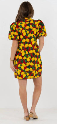 Emily Mccarthy - Hampton Dress