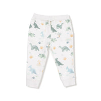 Angel Dear - Boys French Terry Raglan Sweatshirt & Jogger Set