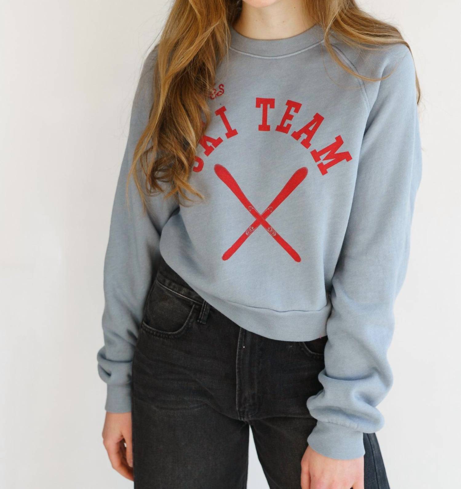 PROJECT SOCIAL T Apres Ski Team Shrunken Sweatshirt Top in dusty blue - women's top