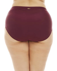 Raisins - Women's Curve Sayulita Bikini Bottom - Plus