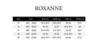 Roxanne - Pond Flower D-cup V-neck Sarong One Piece Swimsuit