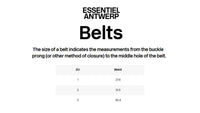 Essentiel Antwerp - Ilida shiny thin belt