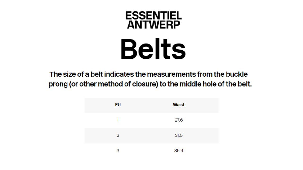 Essentiel Antwerp - Ilida shiny thin belt