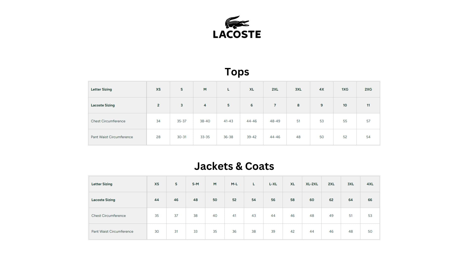 Lacoste - Cotton Print & Badge Tee