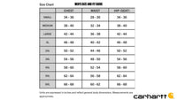 Carhartt - Men's Logo Sleeve Graphic Long Sleeve Crew Neck T Shirt