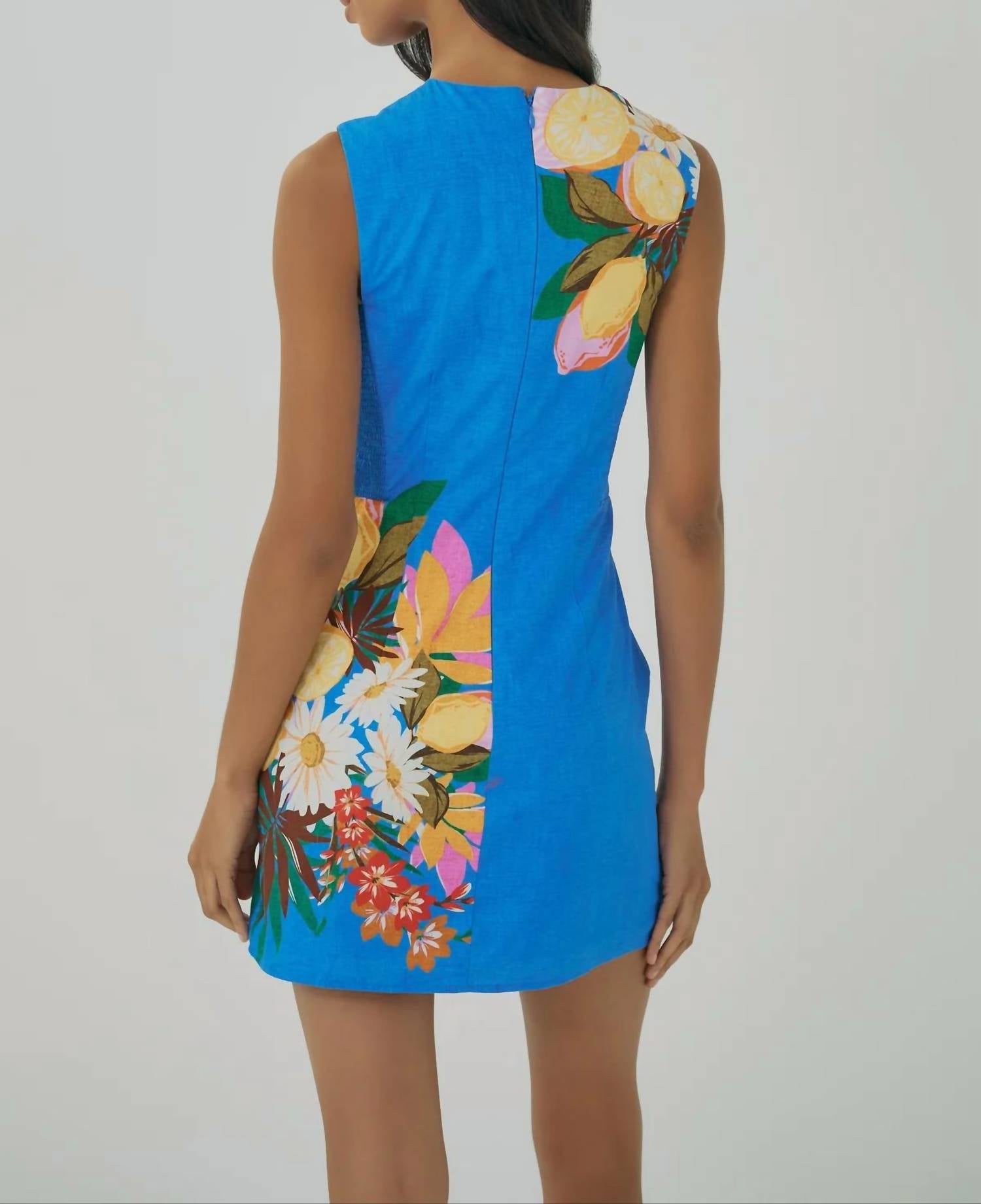 Hutch - Janesta Sleeveless Mini Dress