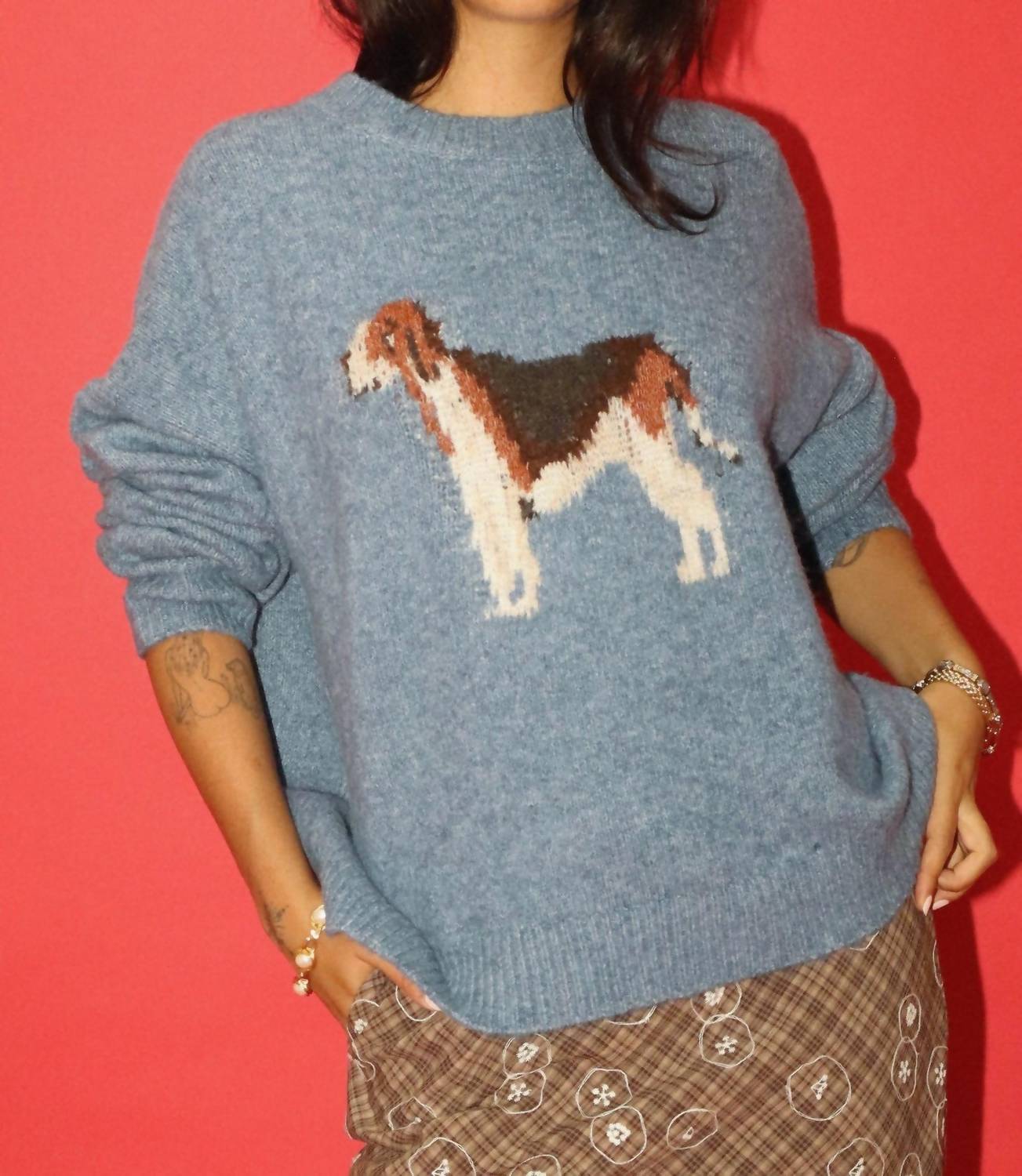 Bailey Rose - Max Dog Hound Graphic Knit Intarsia Sweater