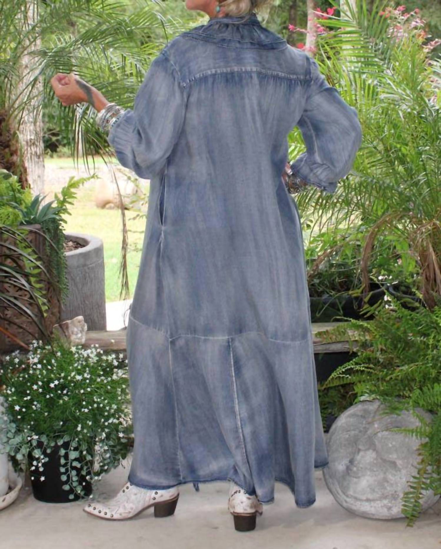 Jaded Gypsy - A Ruffle In Time Denim Dress
